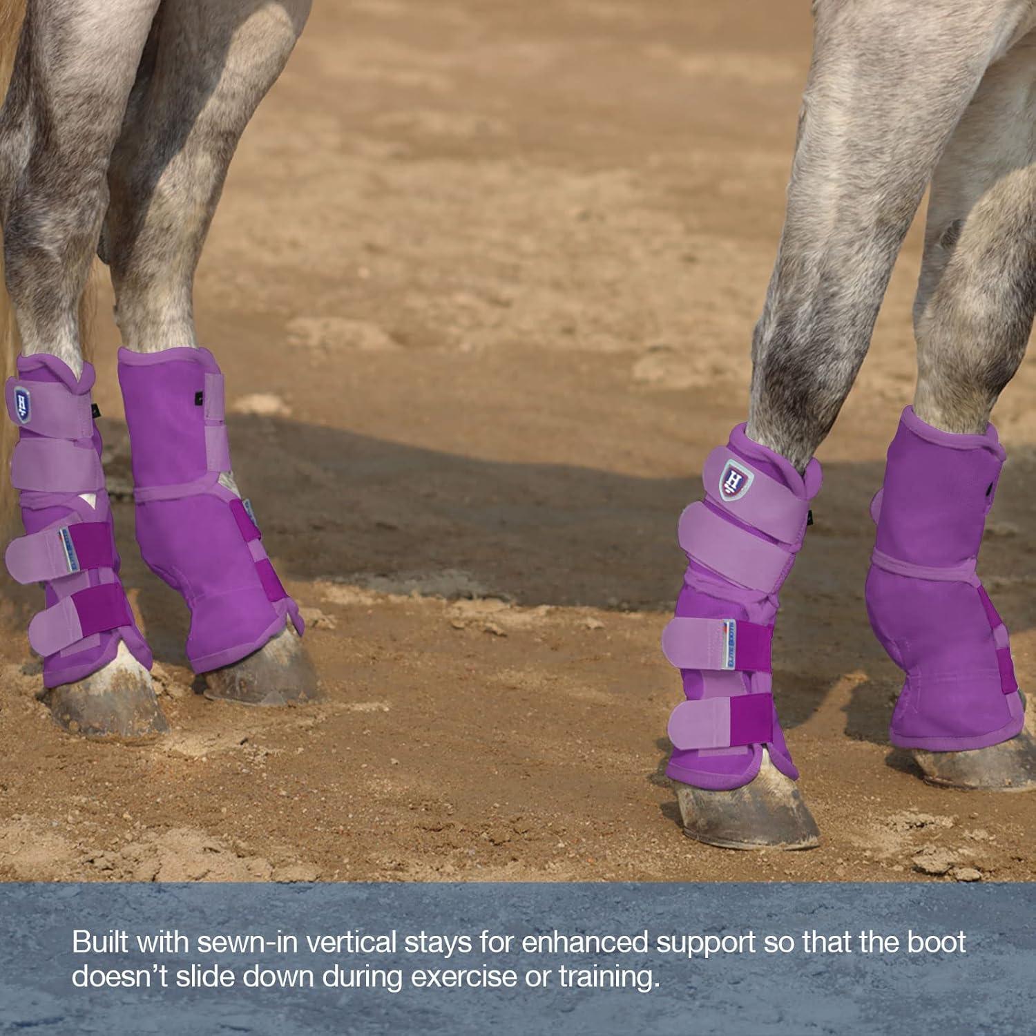 imageHarrison Howard Horse Fly Boots Perfect Contoured Fit Leg Guards Dense Mesh Boots with Ventilated Comfort Reliable Protection from Summer Elements Set of 4 Purple MPurple