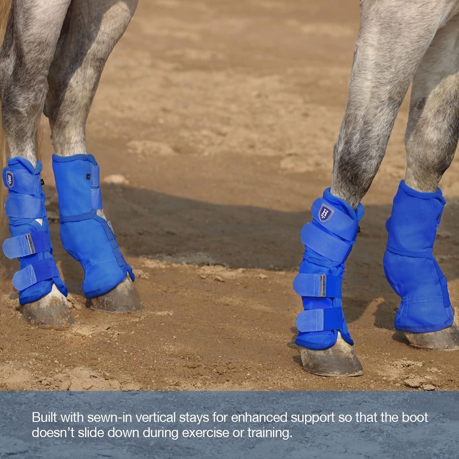 imageHarrison Howard Horse Fly Boots Perfect Contoured Fit Leg Guards Dense Mesh Boots with Ventilated Comfort Reliable Protection from Summer Elements Set of 4 Purple MDeep Blue