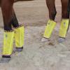 Fine Mesh Fly Boots Loose Fitting & Non-Slip Horse Fly Leggings Fleece Air Flow (Set of 4)(Summer Lime)
