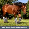 Harrison Howard Loose-Fitting Horse Fly Boots UV-Protective, Breathable, Tear-Resistant Fine Mesh Leggins Stay-on Comfortable Fly Boots with Ultra-Soft Wool Trim (Set of 4) Original Grey Cob (Medium)(Original Grey)