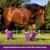 Harrison Howard Loose-Fitting Horse Fly Boots UV-Protective, Breathable, Tear-Resistant Fine Mesh Leggins Stay-on Comfortable Fly Boots with Ultra-Soft Wool Trim (Set of 4) Original Grey Cob (Medium)(Purple)