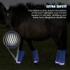 Harrison Howard Loose-Fitting Horse Fly Boots UV-Protective, Durable Fine Mesh Leggins with Reflective Strips (Set of 4)(Signature Blue)