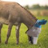 Harrison Howard Mule Donkey Fly Mask Full Face Protection with Nose Cover Mint L(Sky Blue)