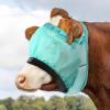 Harrison Howard Cattle Livestock Fly Mask Breathable Mesh Padded Edging with Fun Patterns Large Spacing Forelock Opening Design Adjustable Fit for Cattle Black(Mint)