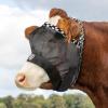 Harrison Howard Cattle Livestock Fly Mask Breathable Mesh Padded Edging with Fun Patterns Large Spacing Forelock Opening Design Adjustable Fit for Cattle Black(Black)