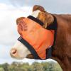 Harrison Howard Cattle Livestock Fly Mask Breathable Mesh Padded Edging with Fun Patterns Large Spacing Forelock Opening Design Adjustable Fit for Cattle Black(Print Orange)