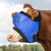 Harrison Howard Cattle Livestock Fly Mask Breathable Mesh Padded Edging with Fun Patterns Large Spacing Forelock Opening Design Adjustable Fit for Cattle Black(Print Blue)
