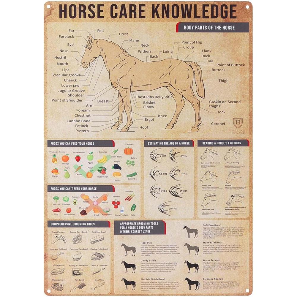 imageHarrison Howard Horse Care Knowledge Metal Tin Poster Horse Wall Art Horse Decor for Stable Country House Farm Club Education Use Horse Stuff Home Art Decoration Plaque Gift 126  177 Inches