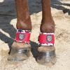 Harrison Howard Durable Shock-Absorbent Breathable Impact Protection Pastern Wraps for Horse Sold in Pairs Summer Mint(Star)
