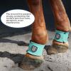 Harrison Howard Durable Shock-Absorbent Breathable Impact Protection Pastern Wraps for Horse Sold in Pairs Summer Mint(Turquoise)