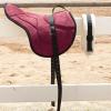 Harrison Howard Equestrian Saddle Pad Horse Riding Pad Bareback Pad with Girth(Burgundy)