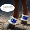 Harrison Howard Essential Premium Horse Pastern Wraps with Berber Fleece Lining Sold in Pairs Black(Blue)