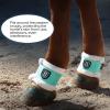 Harrison Howard Essential Premium Horse Pastern Wraps with Berber Fleece Lining Sold in Pairs Black(Mint)