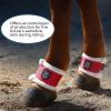 Harrison Howard Essential Premium Horse Pastern Wraps with Berber Fleece Lining Sold in Pairs Black(Red)
