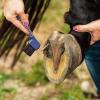 Harrison Howard Horse Hoof Pick Brush with Comfortable Firm Rubber Handle Fine Brush Sturdy Metal Pick