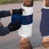 Harrison Howard Medicine-Retaining Shock-Absorbing Pressure Sores Prevention Quilted Leg Wraps for Horse Set of 4-Navy L(White)