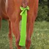 Harrison Howard Stretchy Tail Bag Breathable Horse Tail Guard Slip on Design Protect Horse Tail 2 Strand Closure Straps Keep Tail Clean & Protected 22″ L Length Makes Grooming Easy-Chic Blue(Fluro-Lime)