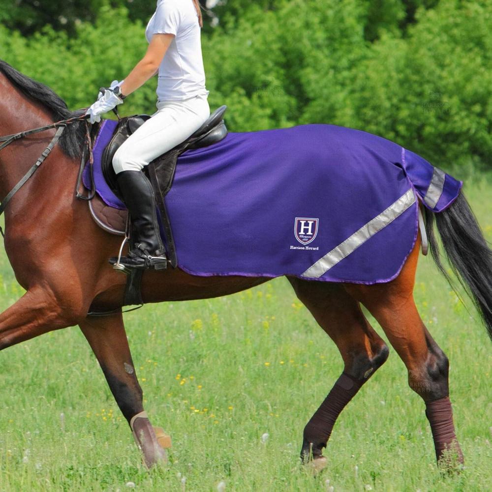 imageHarrison Howard Climax Horse Fly Rug Soft Mesh Air Permeability Fly Exercise Sheet Fly Protection for HorseRegal Purple