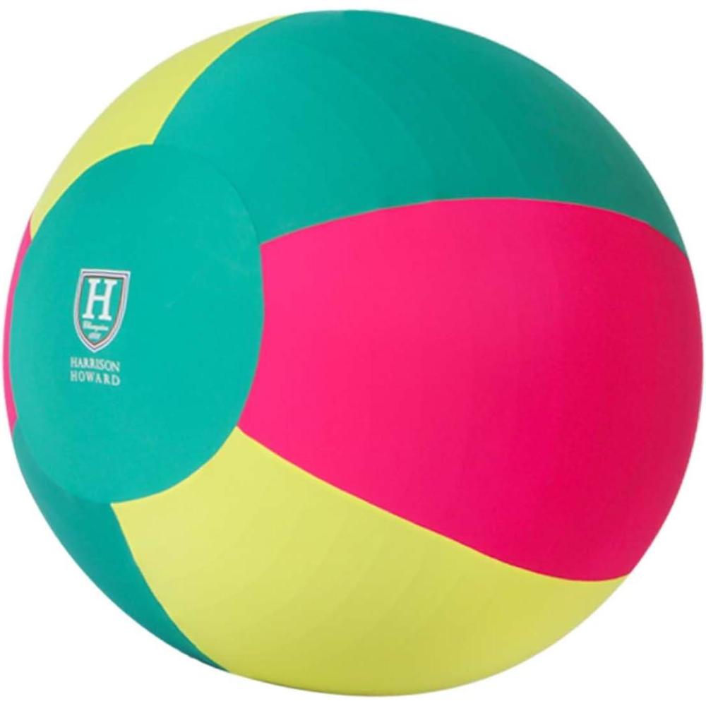 imageHarrison Howard Howdy Bally Horse Playball Covers Mega Ball Protective Cover for Equine Use Exclusive Fun Patterns Meadow Fiesta 40quotMeadow Fiesta