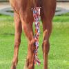 Harrison Howard 3 Tube Stretchy Fabrics Adjustable Closure Lightweight Horse Tail Bag for Horses Braid-in Tail Bag(Tribe Feather)