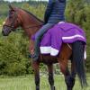 Harrison Howard Alpine Horse Exercise Sheet Fleece Waterproof Hi-Vis Horse Competition Rugs Reflective Safety with Tail Flap-Rose Violet