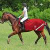 Harrison Howard Climax Horse Fly Rug Soft Mesh Air Permeability Fly Exercise Sheet Fly Protection for Horse-Crimson Red