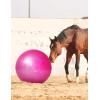 Harrison Howard Mega Horse Play Anti-Burst Giant Soccer Ball 22 Inch-Rose(Rose)