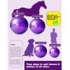 Harrison Howard Mega Horse Play Ball – Anti-Burst Giant Soccer Ball, 22 Inch – Royal Purple