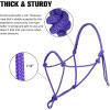 Harrison Howard Rope Halter for Horses – Super Sturdy Training Halter with 2 Knot 1/4″ Stiff Cord(Purple)
