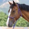 Harrison Howard Rope Halter for Horses – Super Sturdy Training Halter with 2 Knot 1/4″ Stiff Cord(Purple)