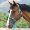 Harrison Howard Rope Halter for Horses – Super Sturdy Training Halter with 2 Knot 1/4″ Stiff Cord(Turquoise)
