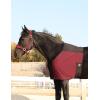 Harrison Howard Sleek Nylon and Stretch Horse Shoulder Guard Lightweight Comfortable Breathable Protective Chest Protector Summer Mint L(Burgundy)