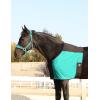 Harrison Howard Sleek Nylon and Stretch Horse Shoulder Guard Lightweight Comfortable Breathable Protective Chest Protector Summer Mint L(Summer Mint)