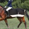 Harrison Howard Alpine Horse Exercise Sheet Fleece Waterproof Hi-Vis Horse Competition Rugs Reflective Safety with Tail Flap-Mars Black (Large)