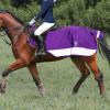 Harrison Howard Alpine Horse Exercise Sheet Fleece Waterproof Hi-Vis Horse Competition Rugs Reflective Safety with Tail Flap-Rose Violet