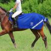 Harrison Howard Climax Horse Fly Rug Soft Mesh Air Permeability Fly Exercise Sheet Fly Protection for Horse-Champion Blue