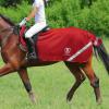 Harrison Howard Climax Horse Fly Rug Soft Mesh Air Permeability Fly Exercise Sheet Fly Protection for Horse-Crimson Red