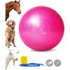 Harrison Howard Mega Horse Play Anti-Burst Giant Soccer Ball 22 Inch-Rose(Rose)