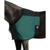 Harrison Howard Sleek Nylon and Stretch Horse Shoulder Guard Lightweight Comfortable Breathable Protective Chest Protector Summer Mint L(Deep Green)