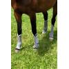 Harrison Howard Horse Fly Boots Leg Guards Fly Boots Protection Set of 4 Amethyst Large Full Size(Silver)