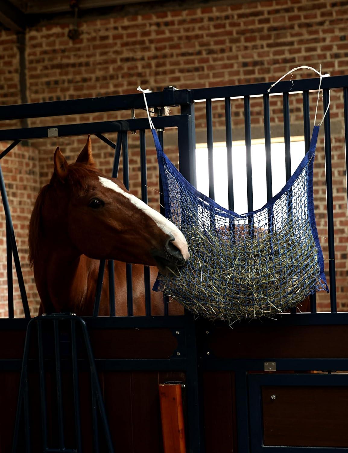 imageHarrison Howard Square Opening Slow Feed Hay Nets for Horses Large Capacity Horse Feed Bag Reduce Hay Waste Promote Healthy Digestion Blue 35 31Blue