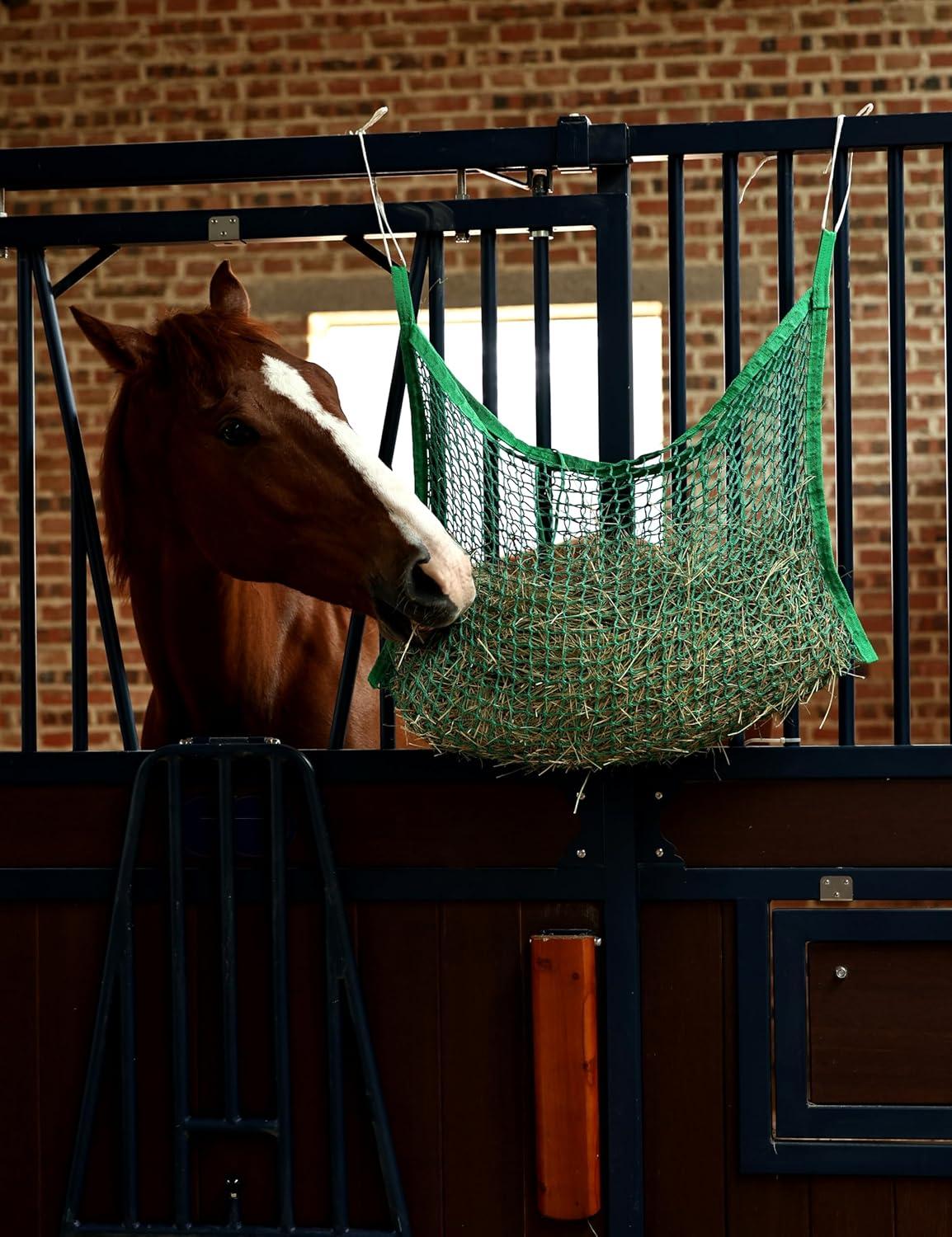 imageHarrison Howard Square Opening Slow Feed Hay Nets for Horses Large Capacity Horse Feed Bag Reduce Hay Waste Promote Healthy Digestion Blue 35 31Green