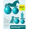 Harrison Howard Howdy Bally Mega Horse Play Ball Anti-Burst Giant Play Ball for Horses 30 Inch-Turquoise