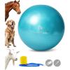 Harrison Howard Howdy Bally Mega Horse Play Ball Anti-Burst Giant Play Ball for Horses 30 Inch-Turquoise