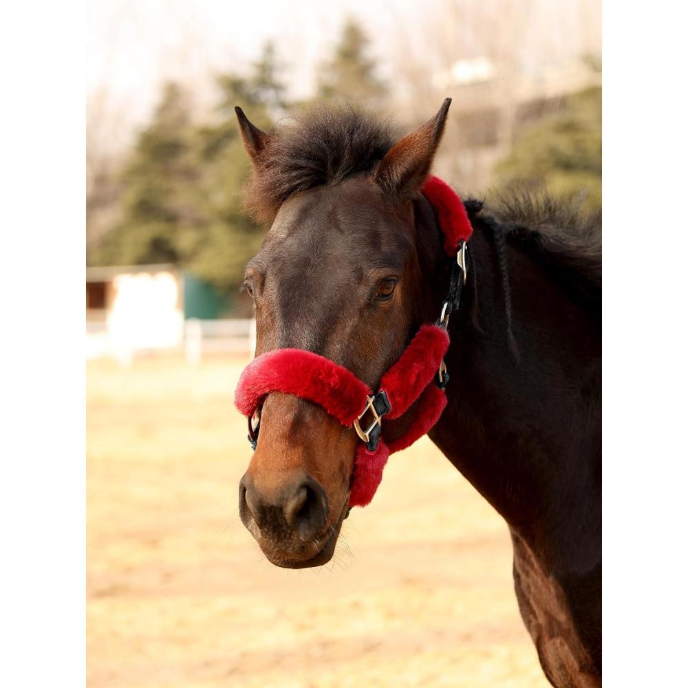 image:imageHarrison Howard Fleece Halter Covers for Horses Set of 9 Prevent Hair Loss Pressure Marks Padded Horse Halter Fleece Set BlackBurgundy