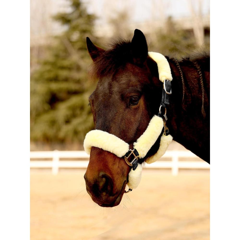 image:imageHarrison Howard Fleece Halter Covers for Horses Set of 9 Prevent Hair Loss Pressure Marks Padded Horse Halter Fleece Set BlackPale Canary