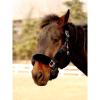 Harrison Howard Fleece Halter Covers for Horses, Set of 9, Prevent Hair Loss Pressure Marks, Padded Horse Halter Fleece Set Black(Black)