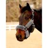 Harrison Howard Fleece Halter Covers for Horses, Set of 9, Prevent Hair Loss Pressure Marks, Padded Horse Halter Fleece Set Black(Comet)