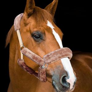 Harrison Howard Fleece Halter Covers for Horses, Set of 9, Prevent Hair Loss Pressure Marks, Padded Horse Halter Fleece Set Black(Brown)