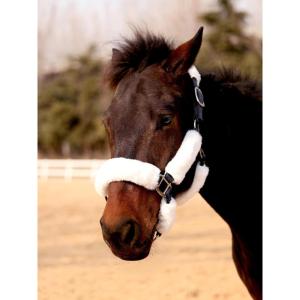 Harrison Howard Fleece Halter Covers for Horses, Set of 9, Prevent Hair Loss Pressure Marks, Padded Horse Halter Fleece Set Black(White)